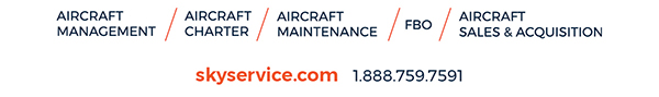 Skyservice Services